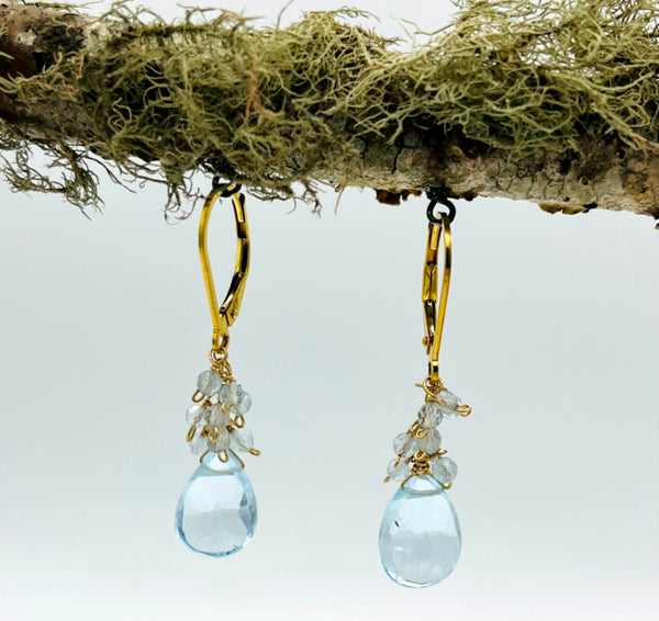 Cascade Blue Topaz Drop earrings with Leverback clasp by Brenda